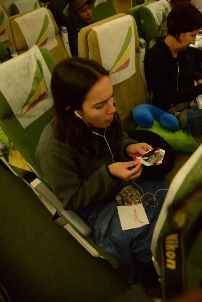 DSC_7433 (Large).JPG